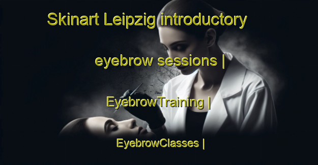 Skinart Leipzig introductory eyebrow sessions | EyebrowTraining | EyebrowClasses | SkinartTraining-Canada